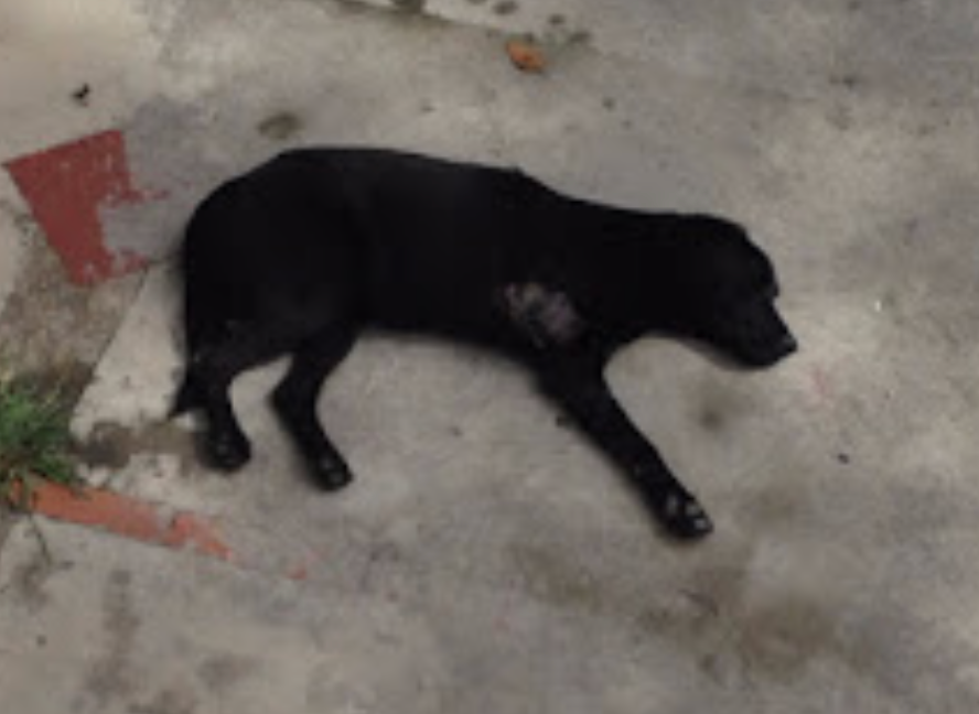 HISTORIAS QUE DEJAN HUELLA