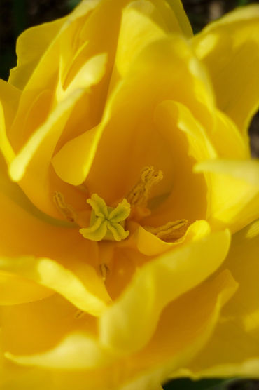 3 P1190813_edited.jpg