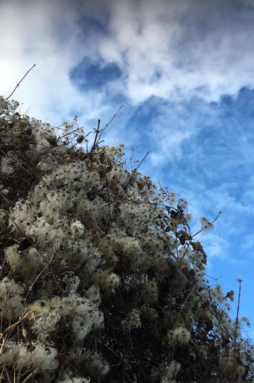 3 IMG_7471_edited.jpg