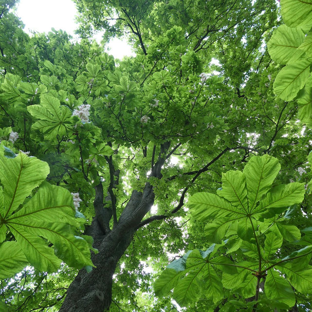 3 P1010432.JPG