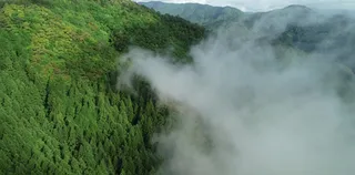 雲の上のホテル 雲の上グループ 高知 公式