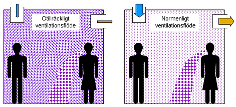 Smittspridning_20200819.png