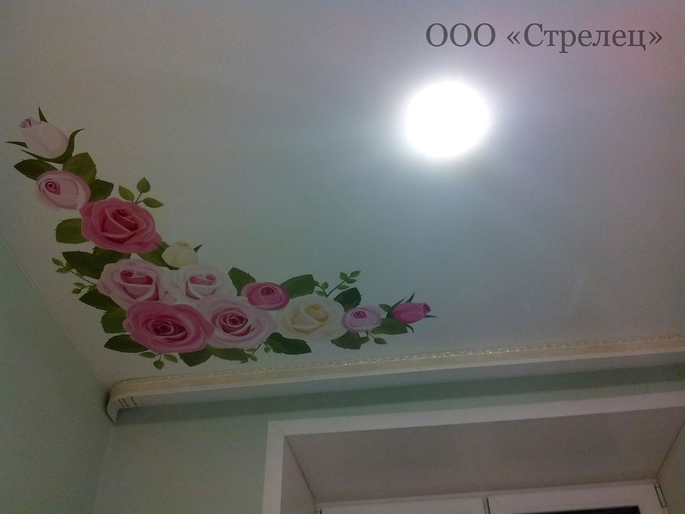 Натяжной потолок с фотопечатью