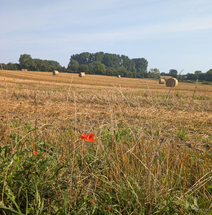 Landhaus Ostseeglück