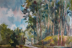 Кисловодск. Сосновая роща