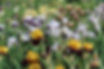 img-3127_orig.jpg