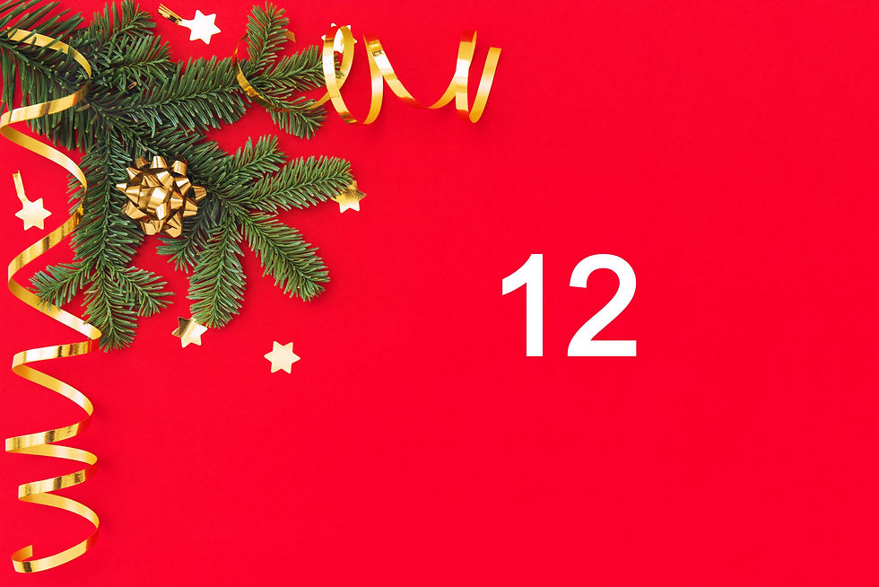 Thumbnail: Christmas Photo Backdrops.  A3 &amp; A4