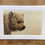 Thumbnail: Open Edition Print