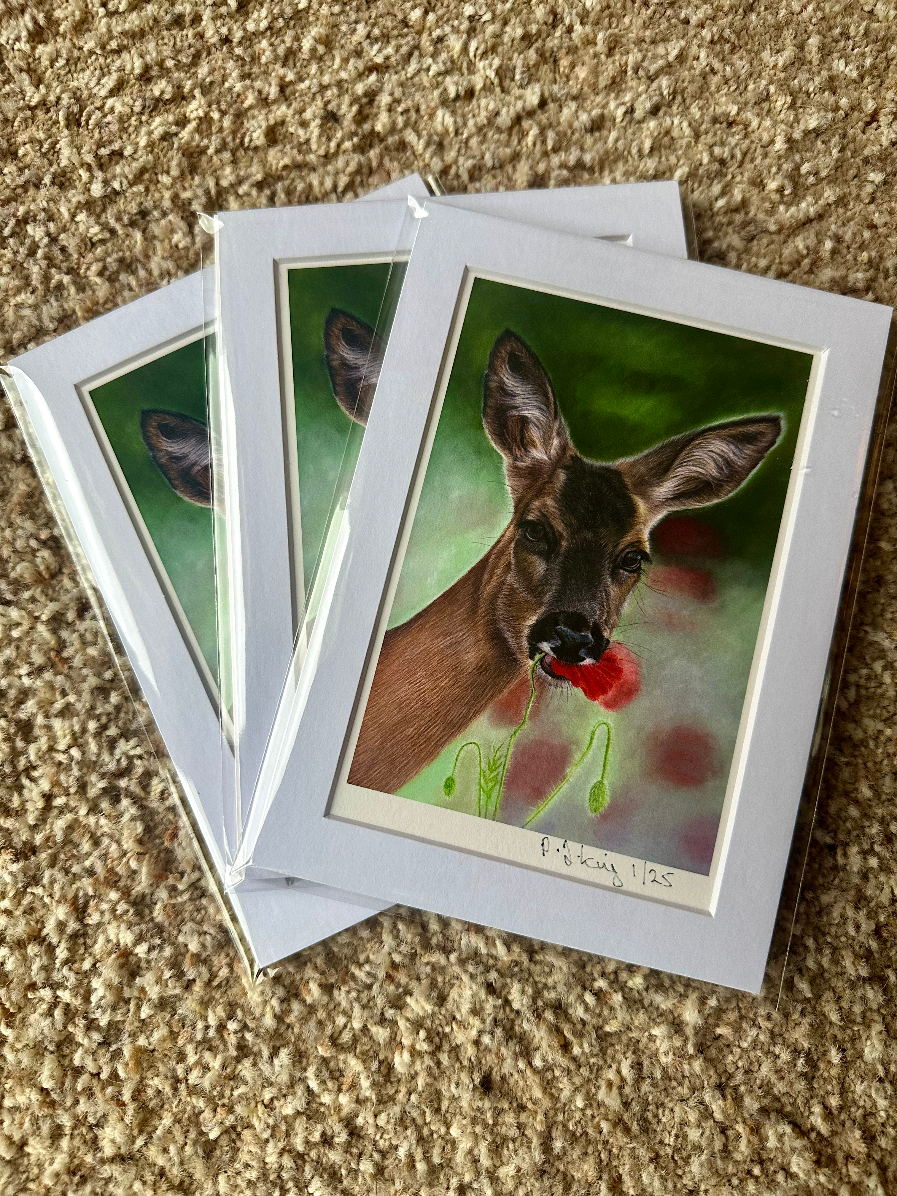 Limited Edition Print