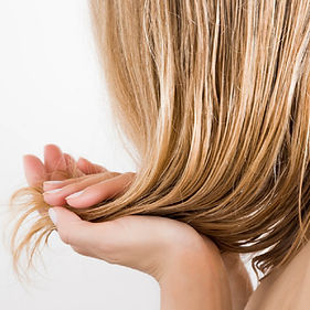 photo socio-coiffure.jpg