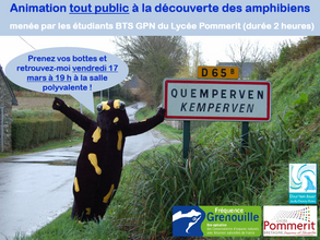 Fréquence Grenouille