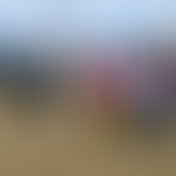 Un nouveau projet d'animation