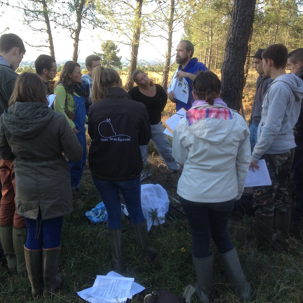 Identification avec des clés de détermination, et l’aide de Ludovic, des 4 espèces de bruyères et des 2 espèces d’ajoncs présentes dans cette lande.