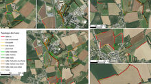 Le plan de gestion du bocage est sorti !