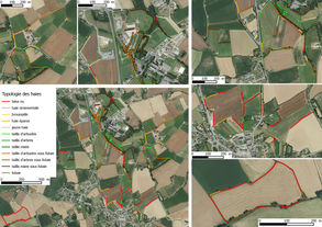Le plan de gestion du bocage est sorti !