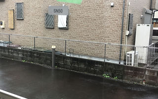 SN50.JPG