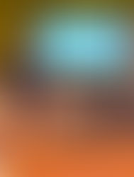 Presenteren van de "Master projecten" en de diploma uitreiking