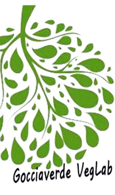 gocciaverdeVegLab%20logo_edited.jpg