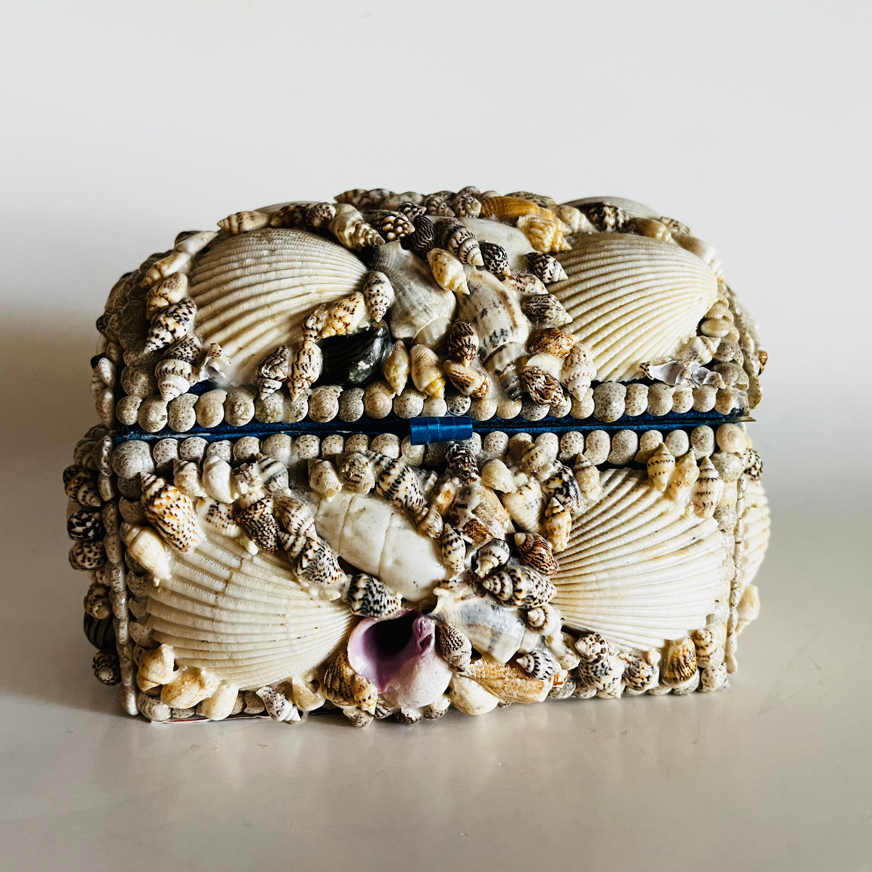 Vintage Philippine Seashell Trinket Box Diorama Inside Shell Jewelry Box Coastal