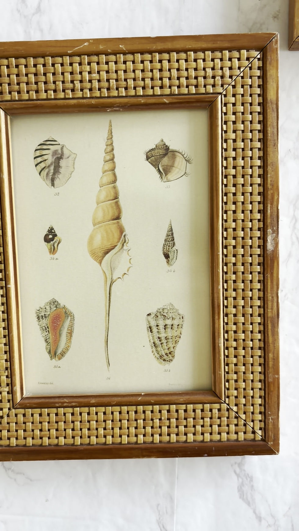 Thumbnail: Pair of Woven Rattan Photo Franes with Vintage Inspired Shell Prints
