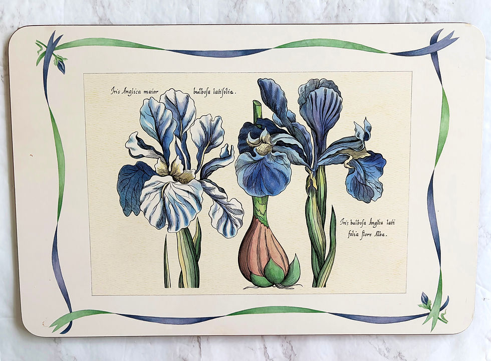Thumbnail: Set of 4 Vintage Botanical Placemats — Hortus Eystettensis / Garden of Eichstätt