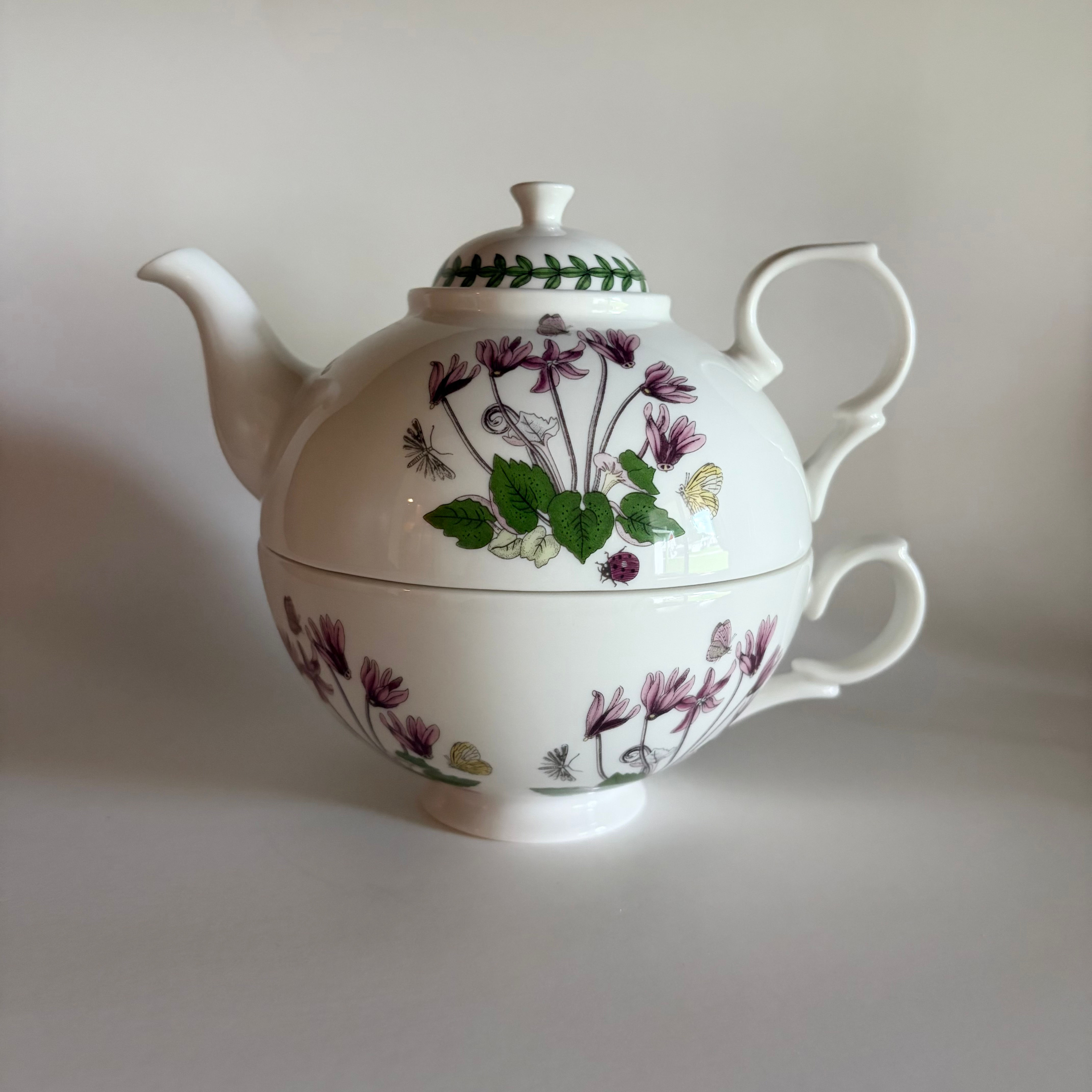 Vintage Portmeirion Botanic Garden Tea for One – Cyclamen Floral