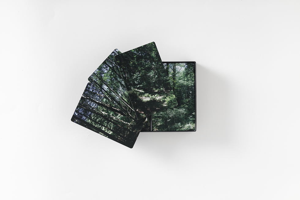 Jun Iizuka. FOREST MEMORY GAME. 2017