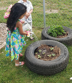 Watering plants at CK Montessori.jpg