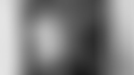 Worth a Thousand Words