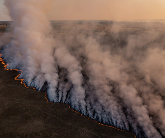 Wild Fire_edited.jpg
