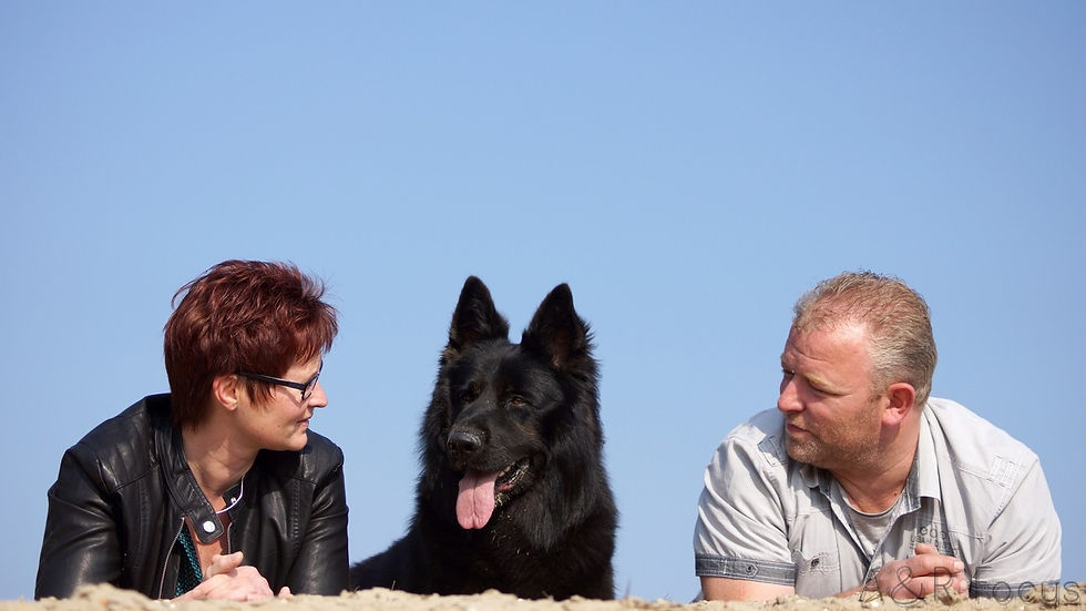 Finn Of Dracc's Clan