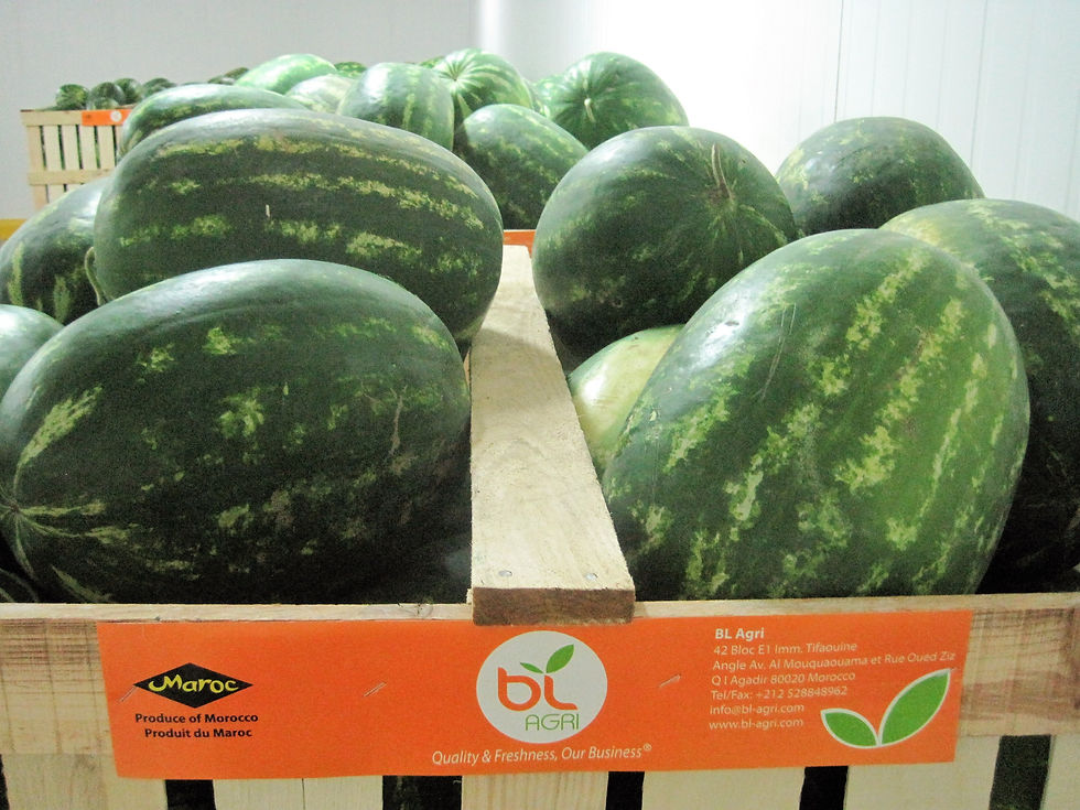Watermelon