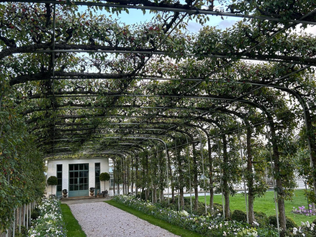 Crabapple allée in full bloom at Oak Spring Garden Foundation, with flowering trees arching over a gravel path flanked by manicured greenery.