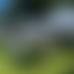 Rappahannock County Farmers Market