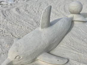 Life Skills That Fuel Purpose Discovery