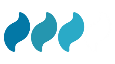 Clear Sky Wellness Coaching Color Palette