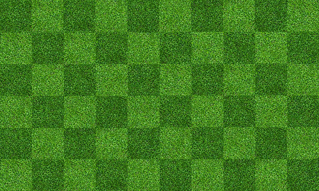 AdobeStock_247697387.jpeg