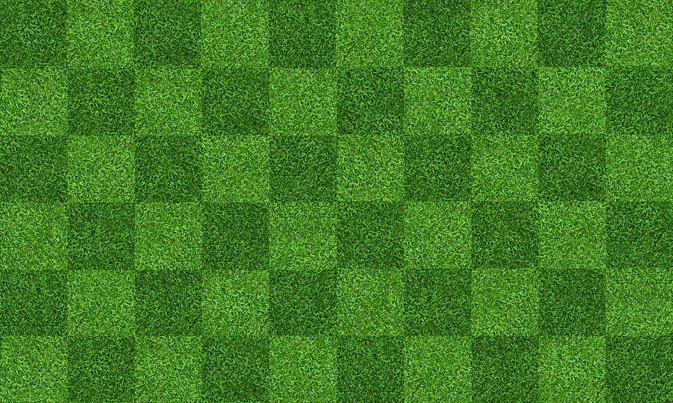AdobeStock_247697387.jpeg