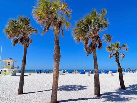 Discover Your Life Purpose at Any Age or Stage