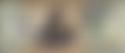 Coping, Part Three: Harriet Tubman...And John McCain