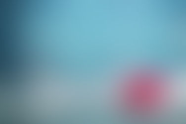 White Eagle Echoing Harriet