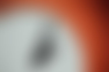 John McCain: Moving Forward