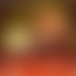 Peaceable Kingdom: Harriet Tubman