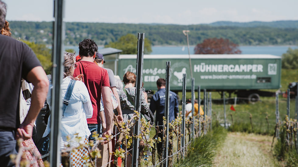 Geführte Weintour inkl. Verkostung