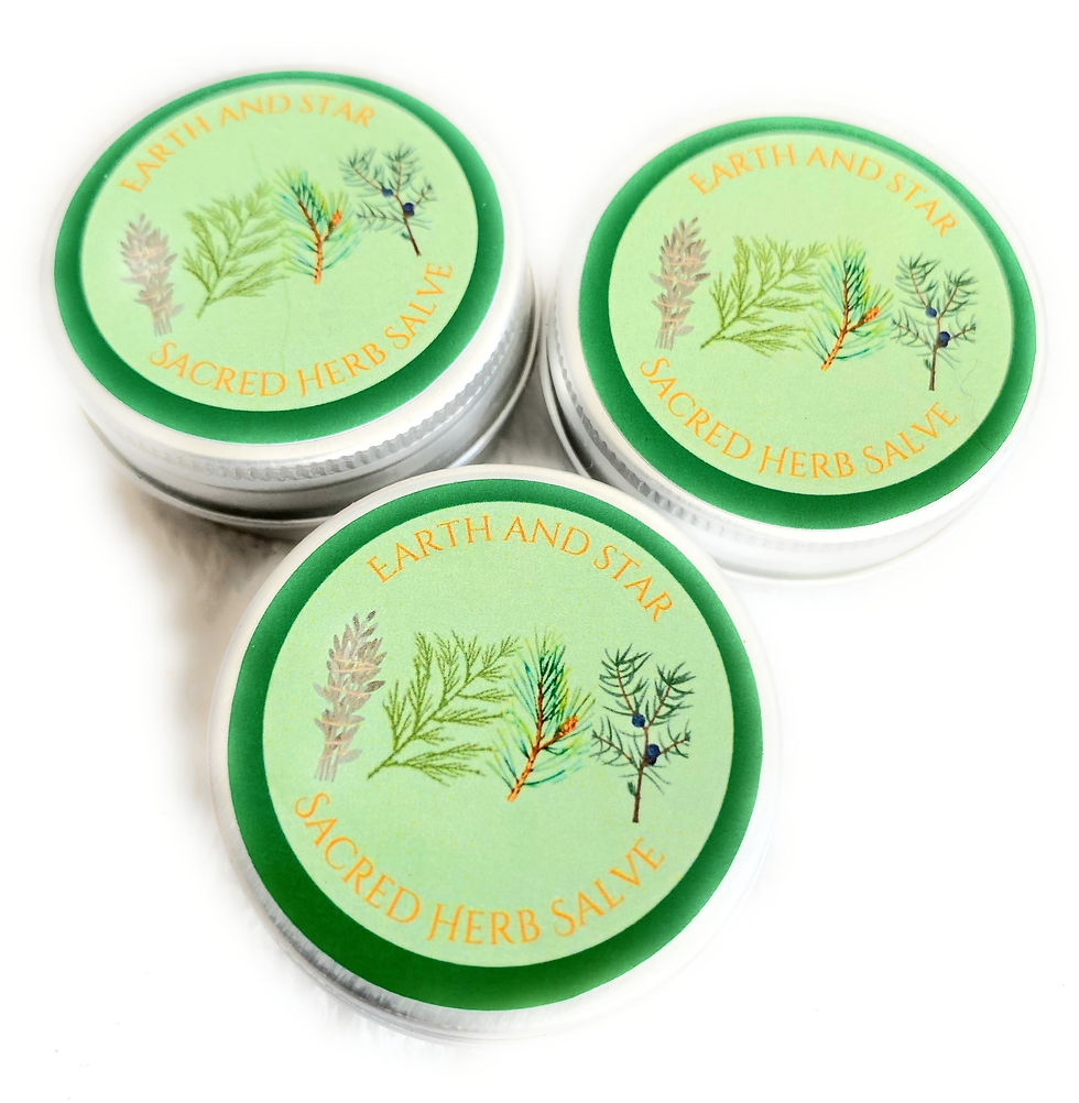 Thumbnail: Sacred Herb Salve 1/2 oz