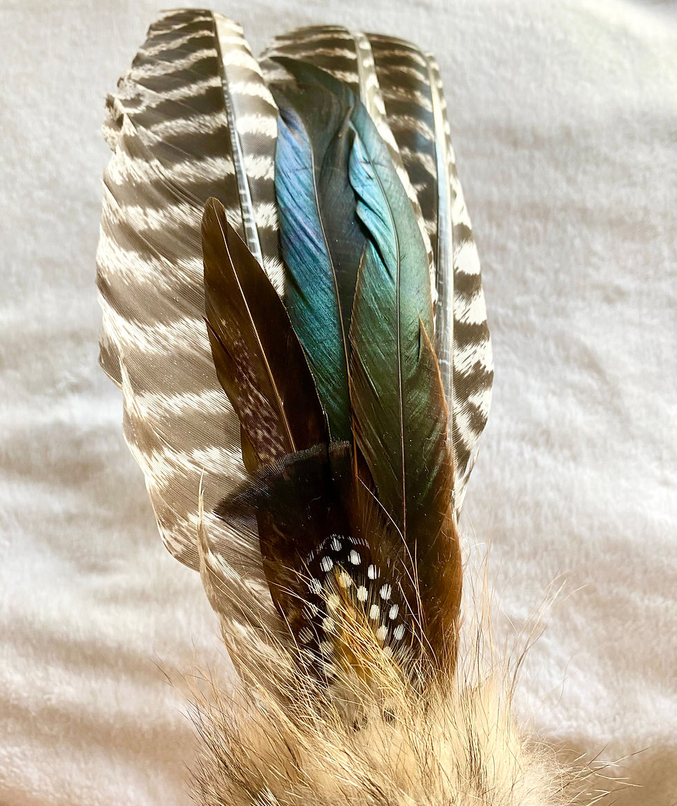 Thumbnail: Wild Turkey Partial Wing Smudge Fan
