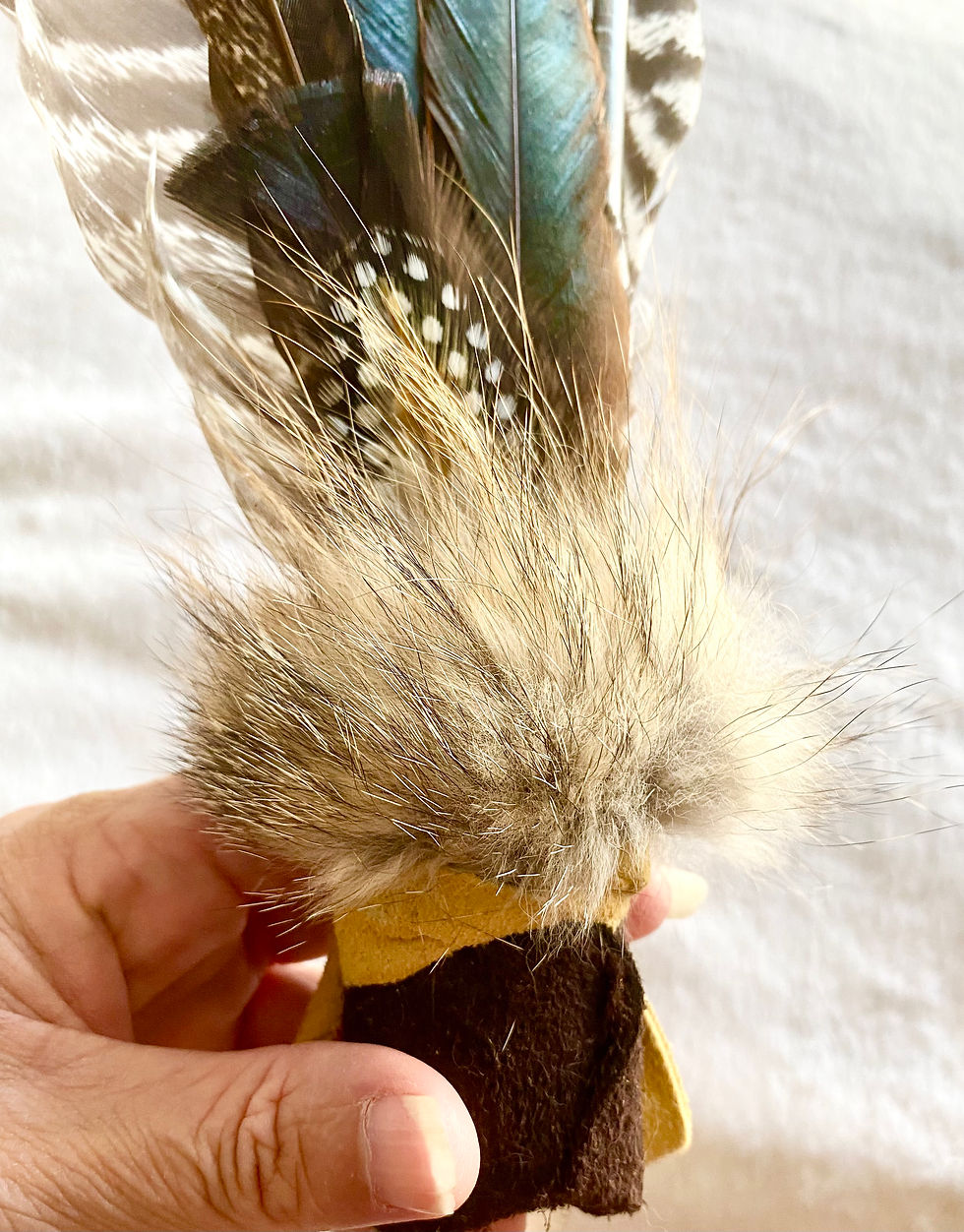 Thumbnail: Wild Turkey Partial Wing Smudge Fan