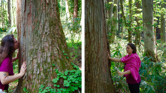 Nina and the trees