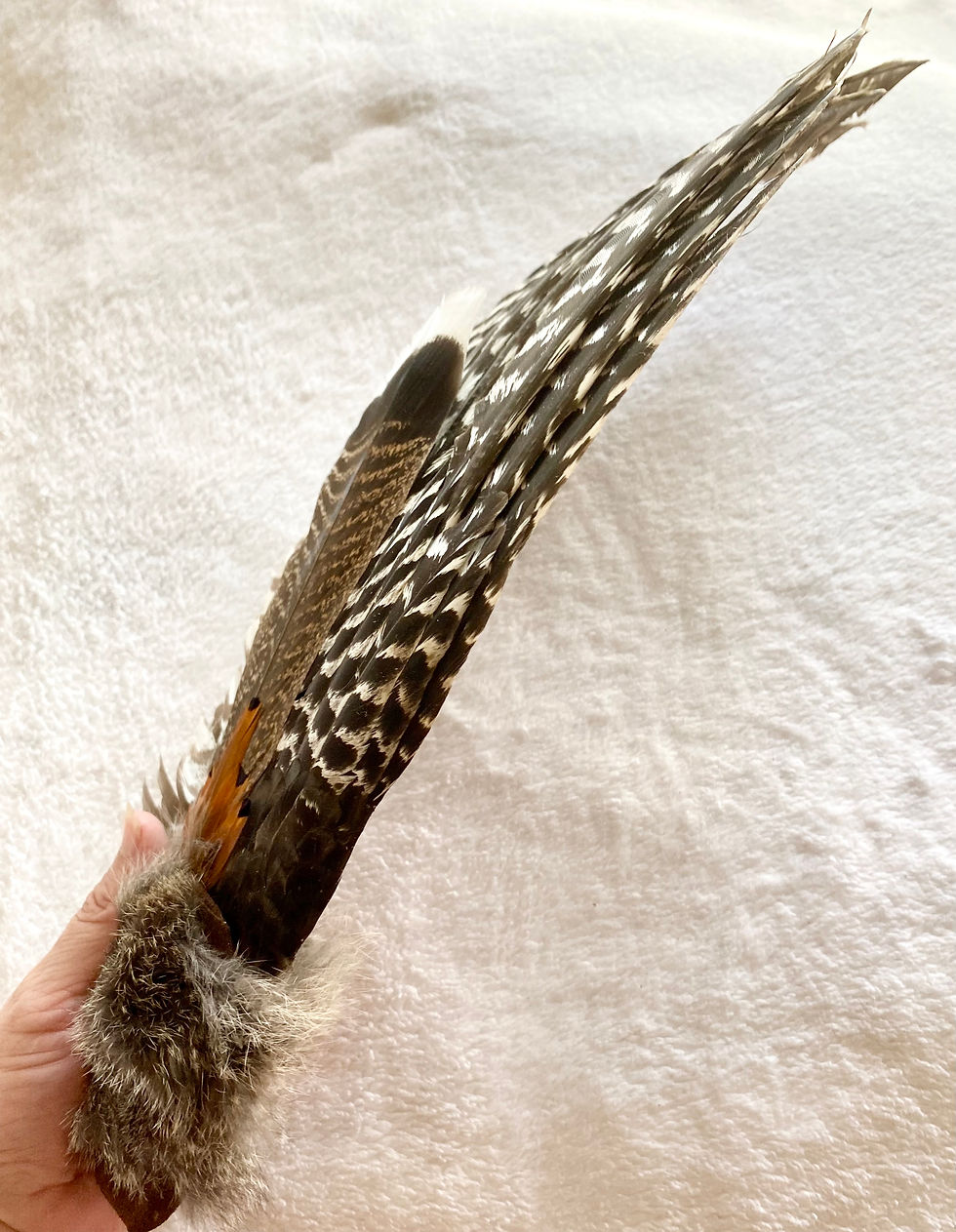 Thumbnail: Extra Large Smudge Fan with fur