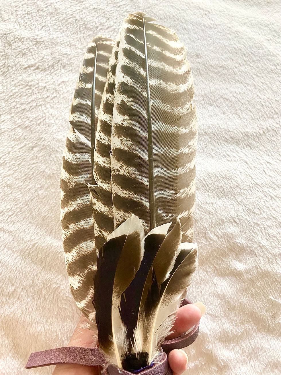 Thumbnail: Smudge Fan with Duck Feathers